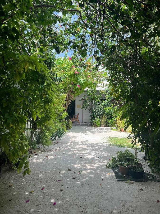 Lagoon Villa Maldives Thoddoo Buitenkant foto