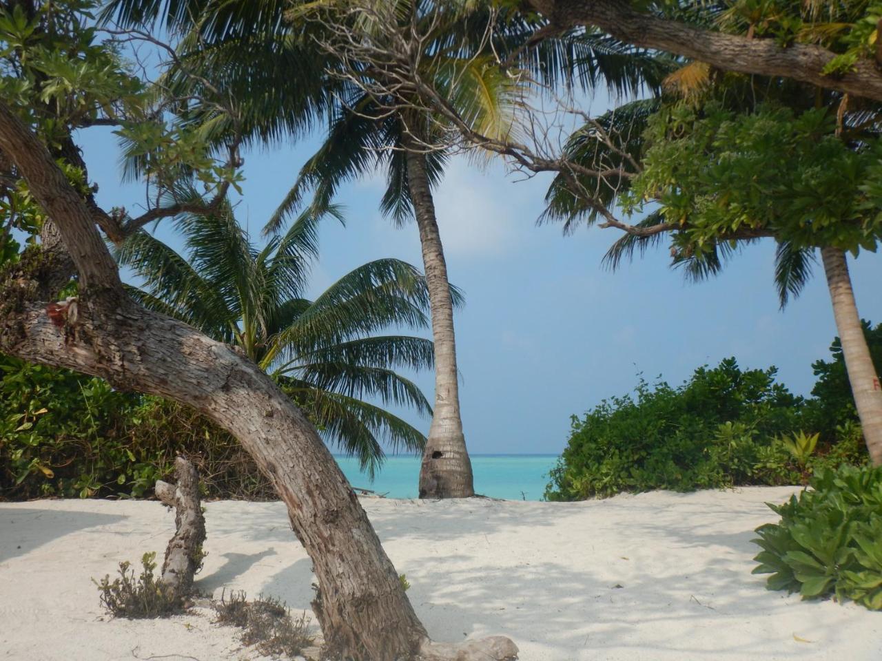 Lagoon Villa Maldives Thoddoo Buitenkant foto